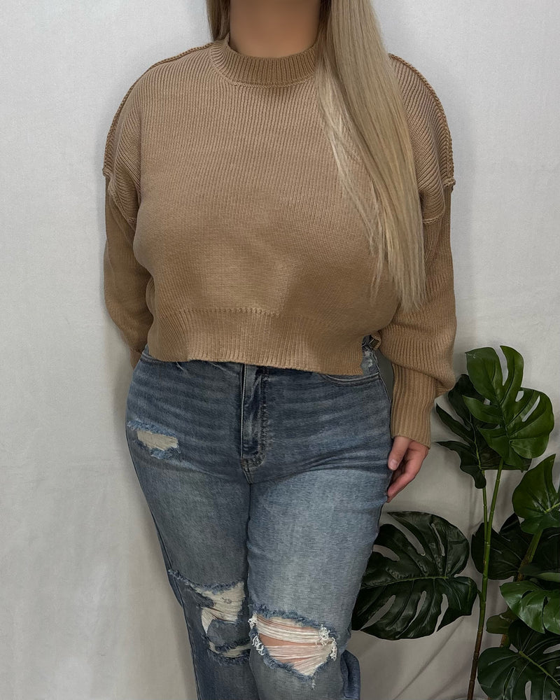 Stephanie Oversized Sweater (Dark Taupe)